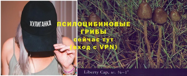 герыч Алексин